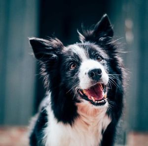 Greg's Right FIT #521 – This week: Momentum, Good ideas, Butter Post feature image