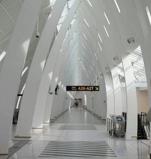 airport books for terminal life