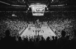 So much basketball in March