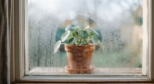 POTS and Brain Fog: How to Track Cognitive Symptoms for Your Doctor