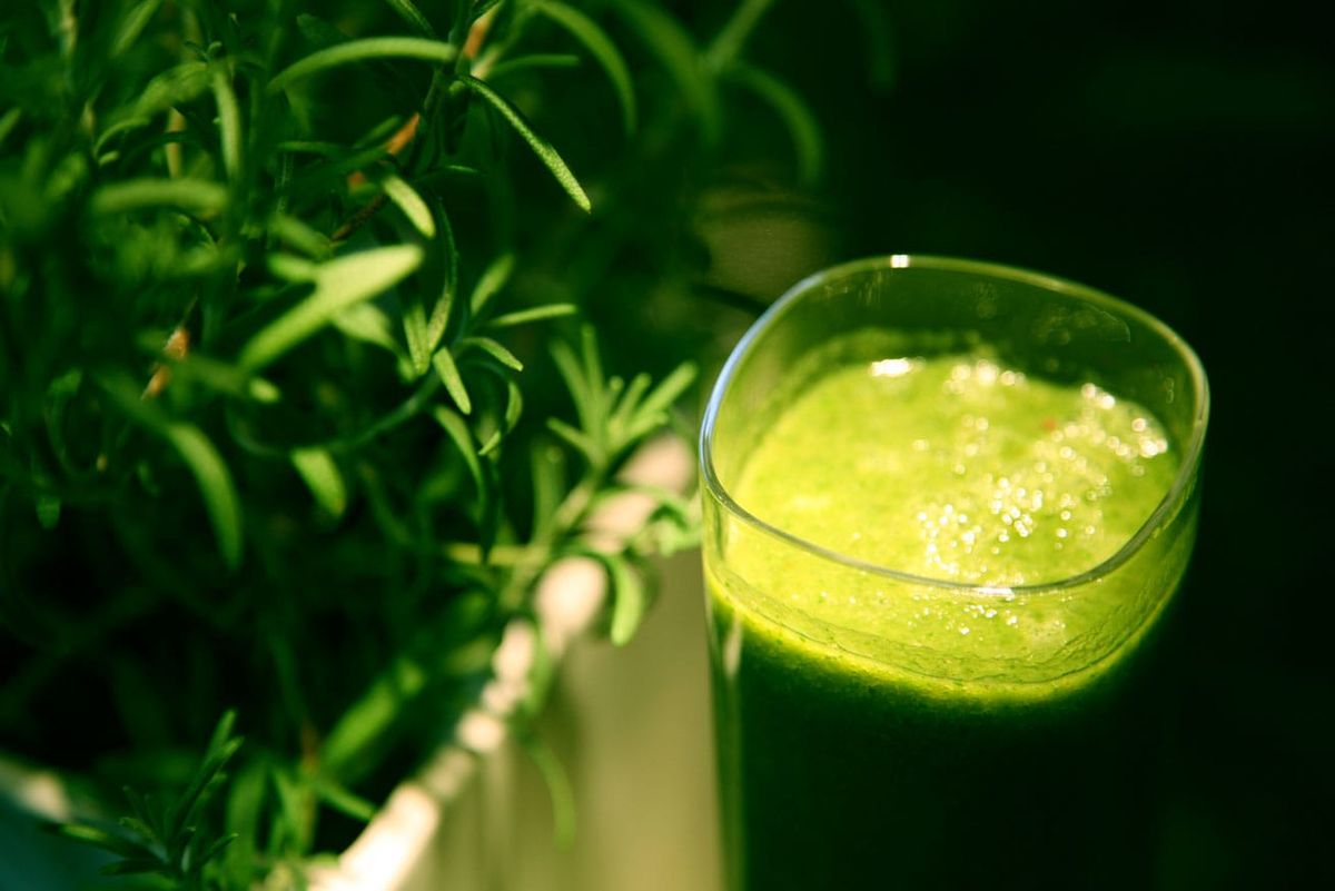 Wikimedia image of a big glass of algae