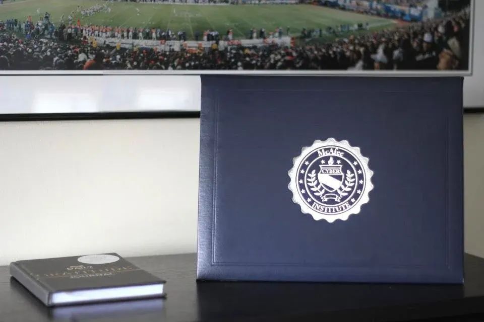 Decoding the skills for a career in investigations: The complete guide