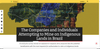 The Companies and Individuals Attempting to Mine on Indigenous Lands in Brazil