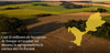 15 million of hectares of forest devastated: this is how the agrobusiness destroys the Parana Basin
