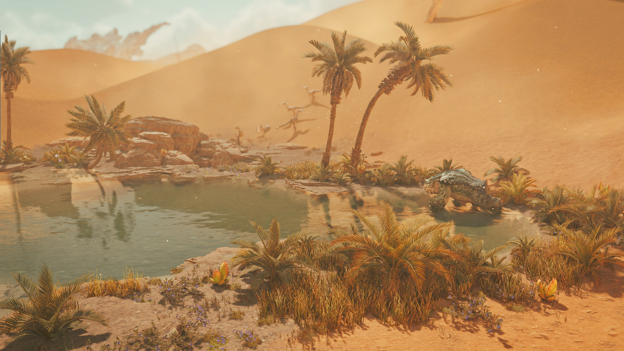 Monster Hunter Wilds Screenshot, oasis in the desert, beast drinking water