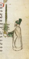 🎧 Le Halachot della Succà e del Lulav