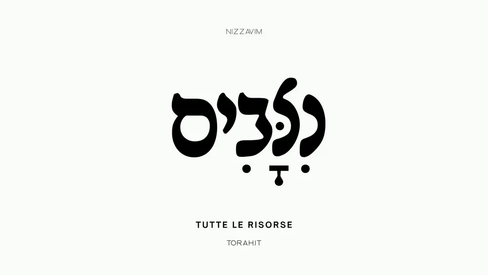 Tutte le risorse di Nizzavim