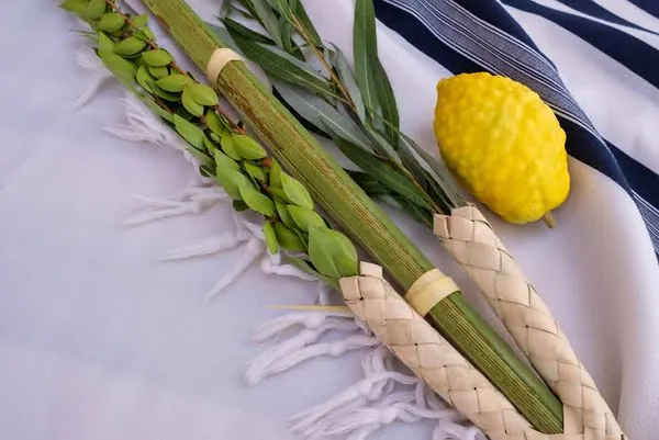Come si assembla il Lulav