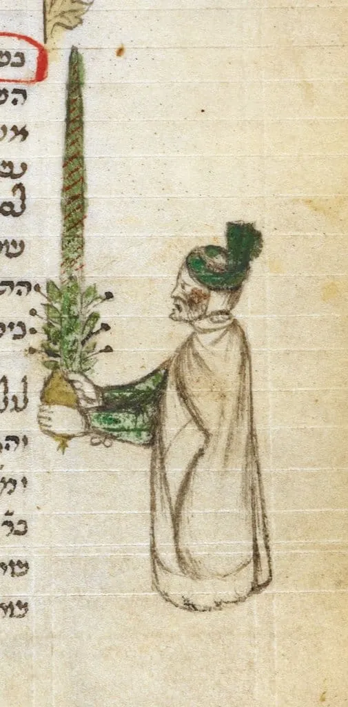 🎧 Le Halachot della Succà e del Lulav