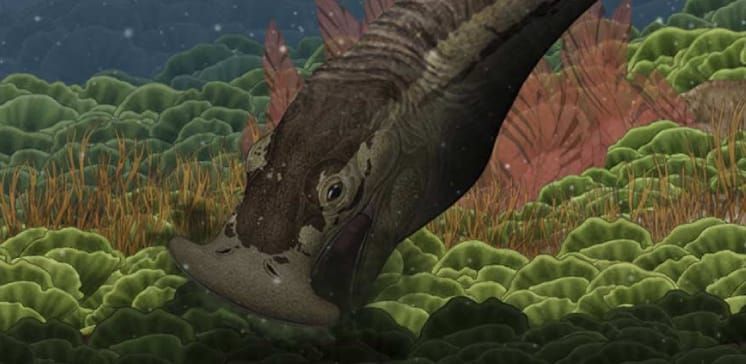 El Reptil Cabeza-Martillo Que Comía Plantas