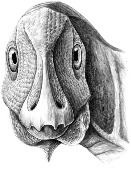 The Strange Case of Transylvanian Hadrosaurs