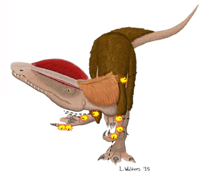 Un Dilophosaurio Tiene Un Mal Día