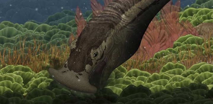 El Reptil Cabeza-Martillo Que Comía Plantas