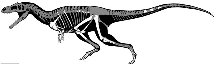 What Has Little Arms with Two Fingers?