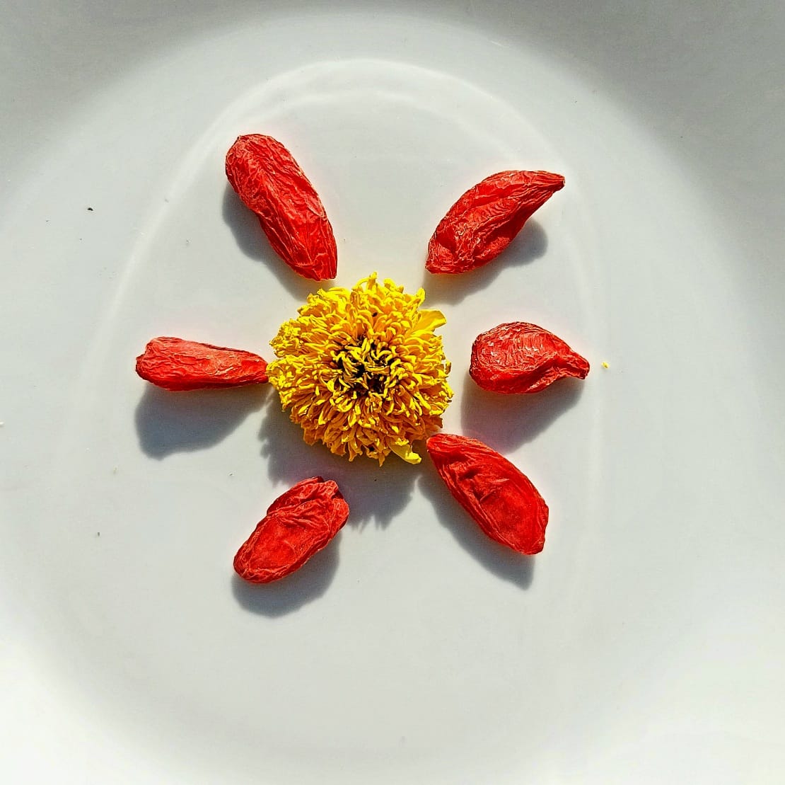 Chrysanthemum and Goji Berries