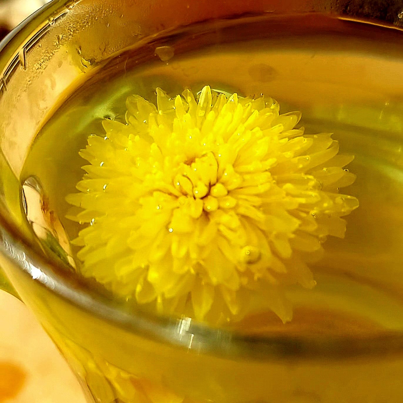 Floating Chrysanthemum