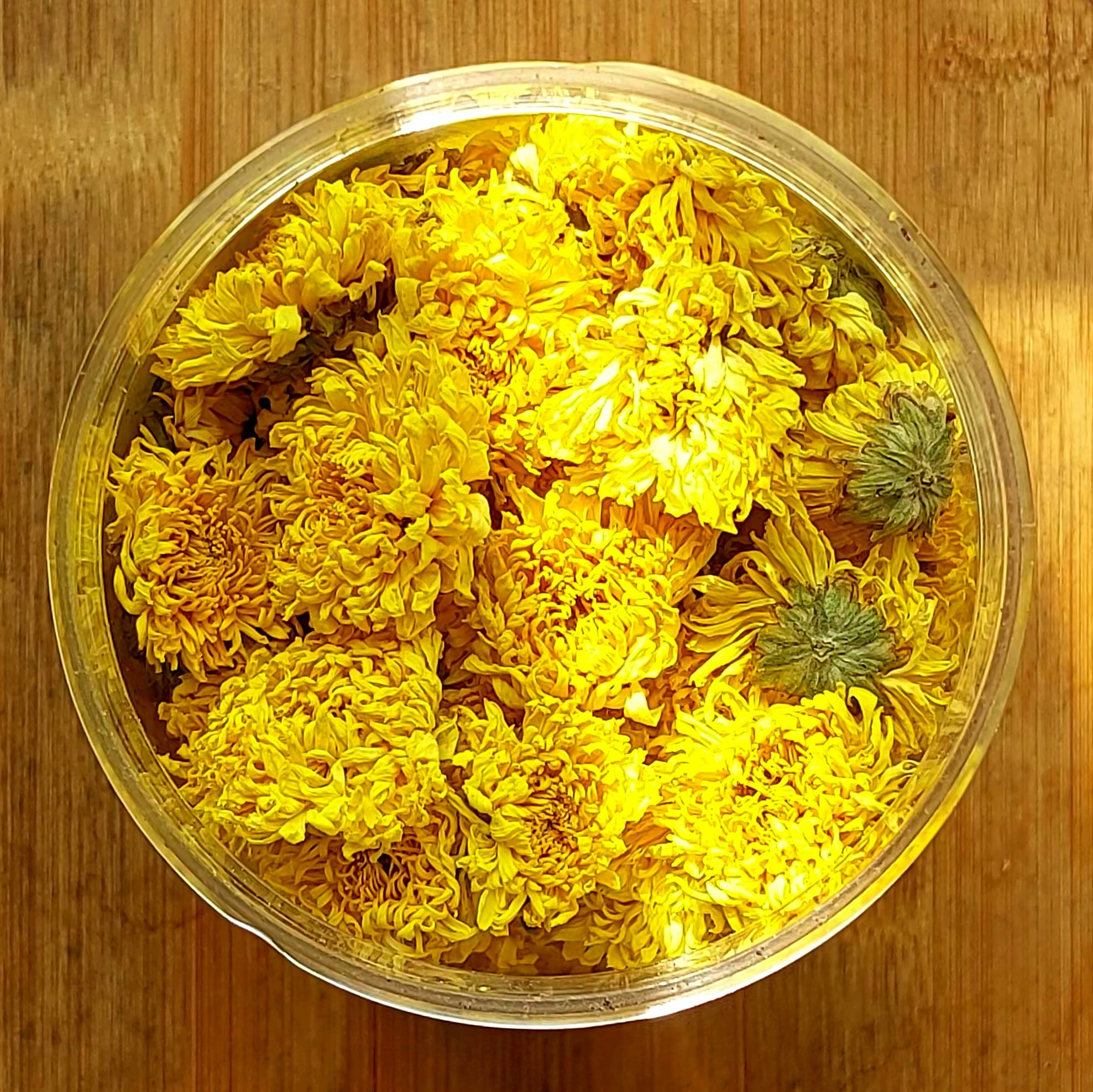 Chrysanthemum