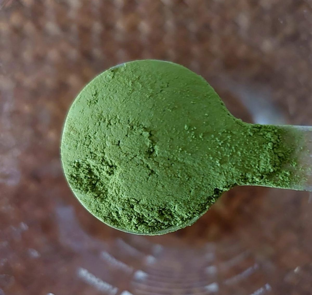 Sourcing Realities and Sensory Myths: How to Balance the Matcha Trend with Operational Speed