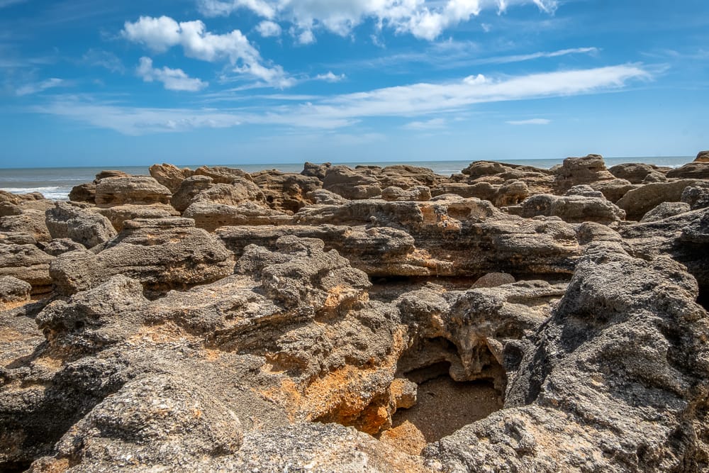 Overlooking rocks at Washington Oaks