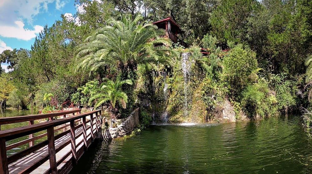 Cedar Lakes Woods & Gardens: A Magical Transformation