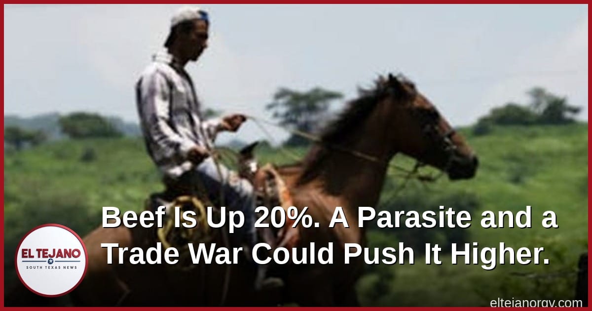 Beef Is Up 20%. A Parasite and a Trade War Could Push It Higher.