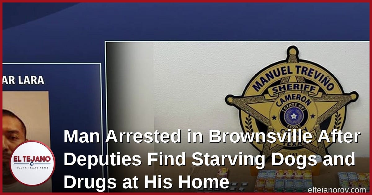 Man Arrested in Brownsville After Deputies Find Starving Dogs and Drugs at His Home