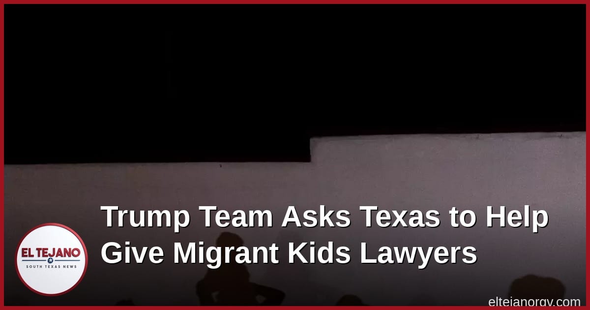 Trump Team Asks Texas to Help Give Migrant Kids Lawyers