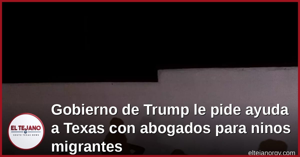 Gobierno de Trump le pide ayuda a Texas con abogados para ninos migrantes