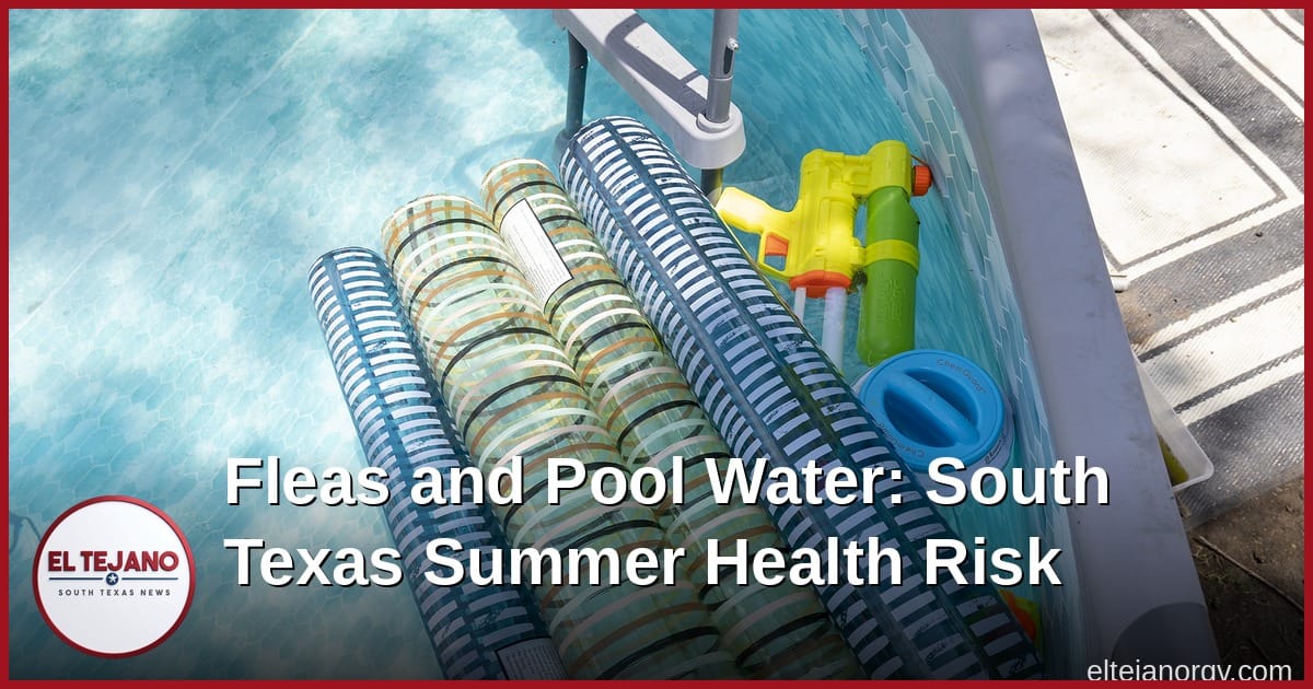 Fleas and Pool Water Are the Real Summer Health Risk in South Texas