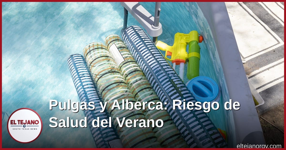 Las Pulgas y el Agua de Alberca Son el Verdadero Riesgo del Verano en el Sur de Texas