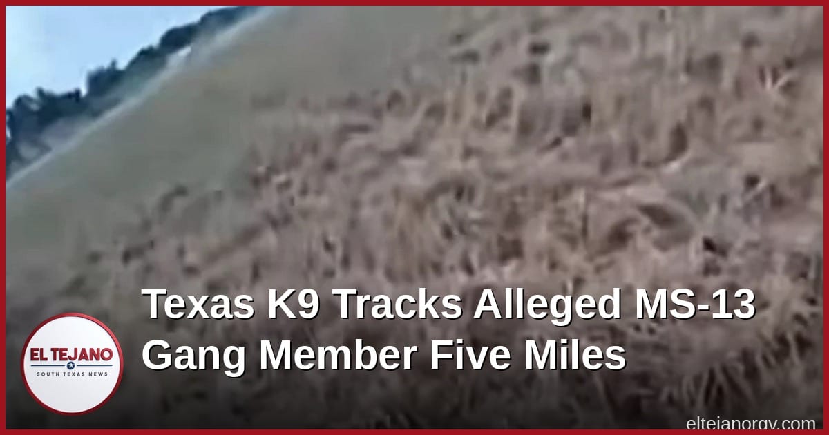 Texas K9 Dog Tracks Alleged MS-13 Gang Member Five Miles in Uvalde County