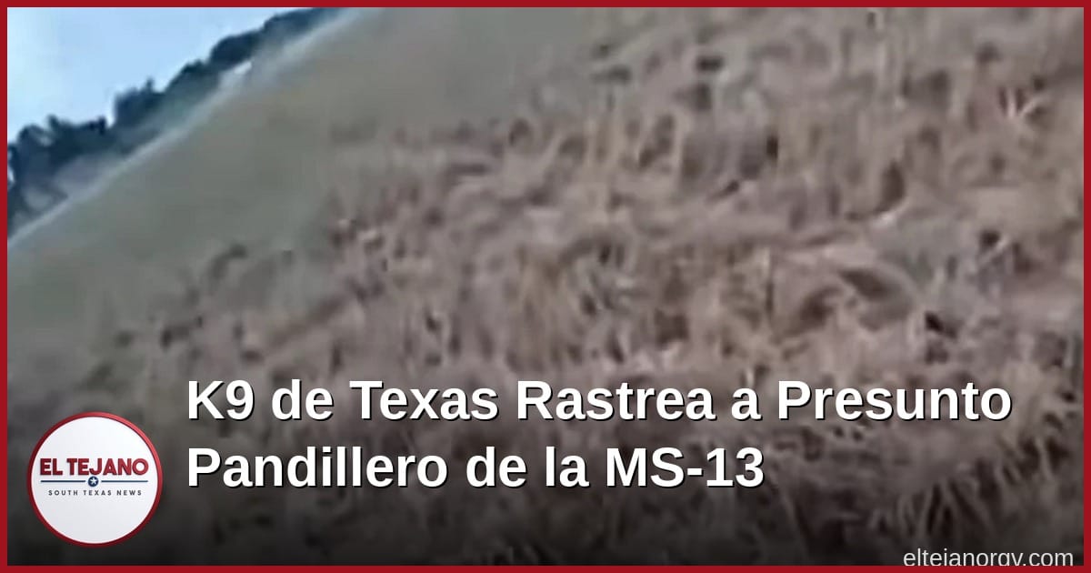 Perro K9 de Texas Rastrea a Presunto Pandillero de la MS-13 por Cinco Millas en el Condado de Uvalde