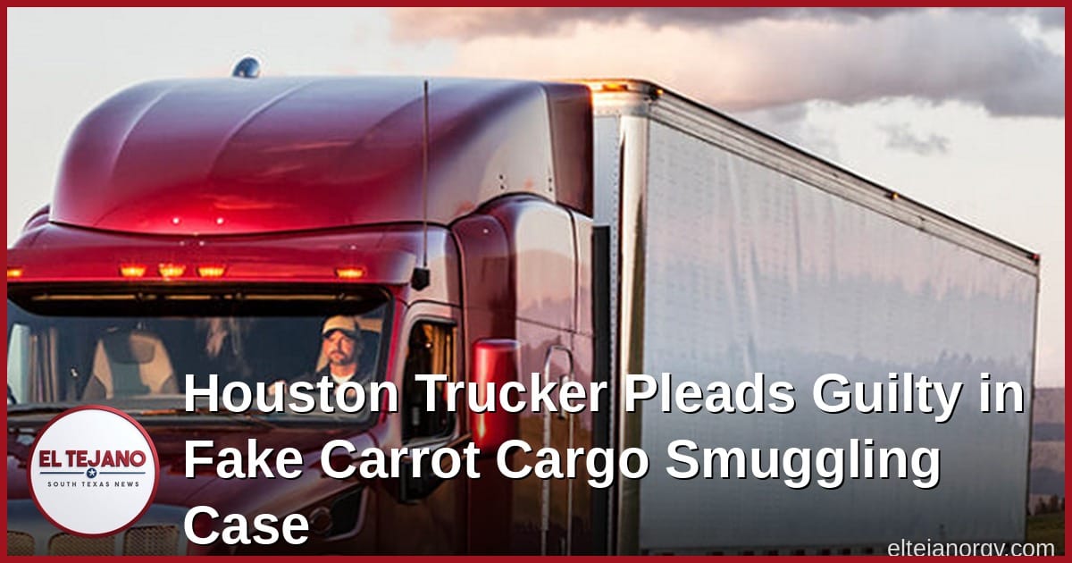 Houston Trucker Pleads Guilty in Fake Carrot Cargo Smuggling Case