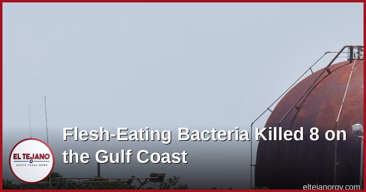 Flesh-Eating Bacteria Is Moving North. Last Year It Killed 8 on the Gulf Coast