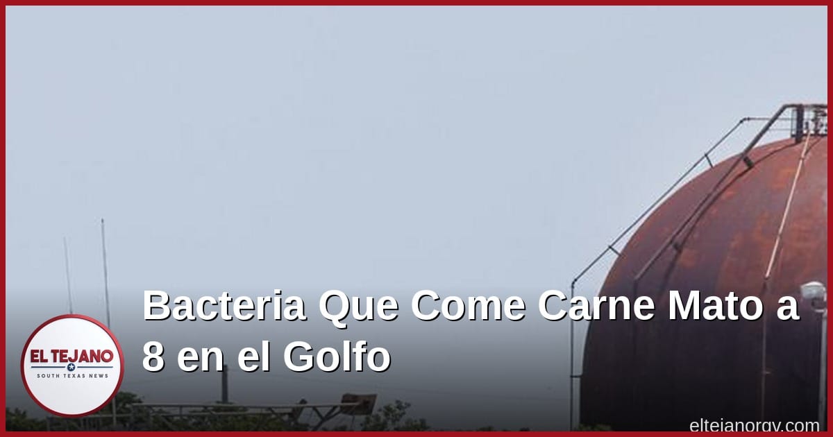 Bacteria Que Come Carne Se Mueve al Norte. El Ano Pasado Mato a 8 en el Golfo