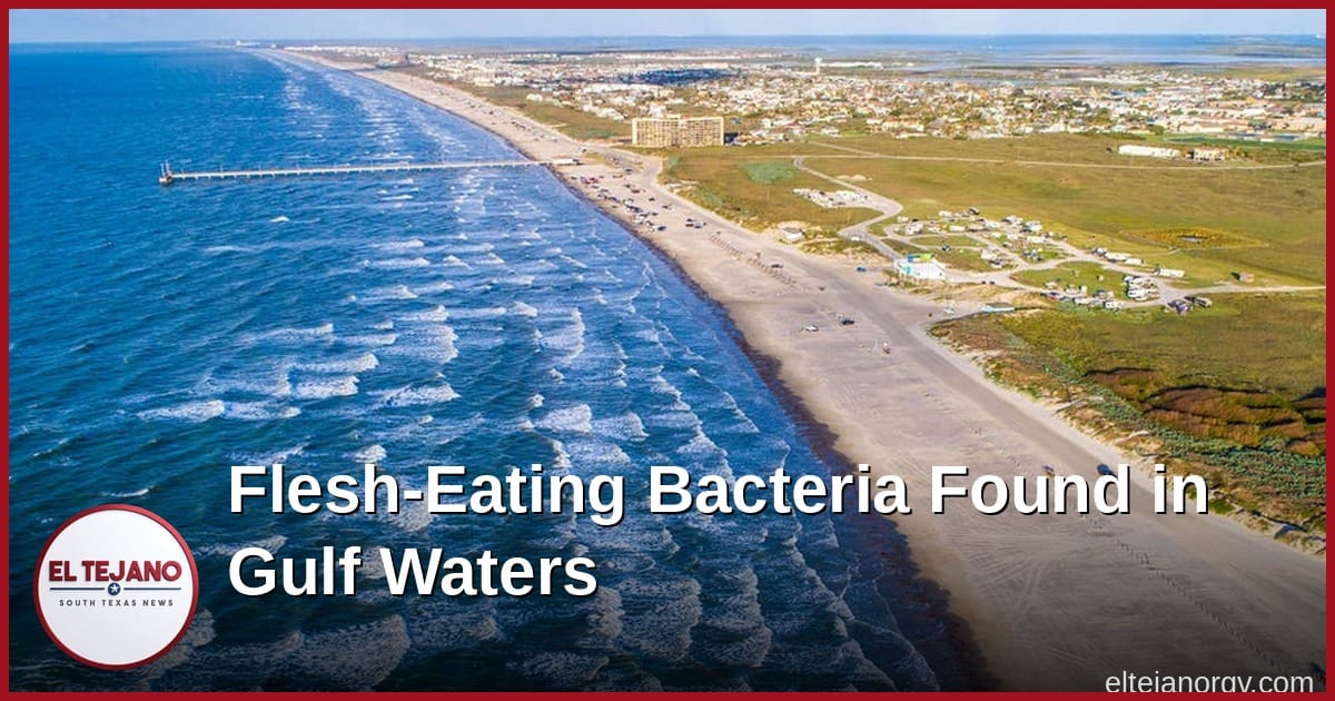 Flesh-Eating Bacteria Found in Gulf Waters This Summer