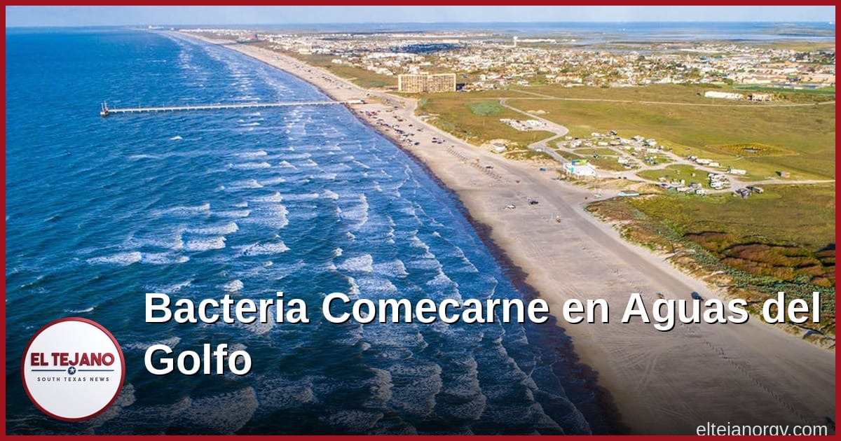 Bacteria "Comecarne" Aparece en Aguas del Golfo Este Verano