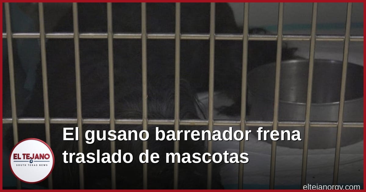 El gusano barrenador frena el traslado de mascotas fuera de Texas
