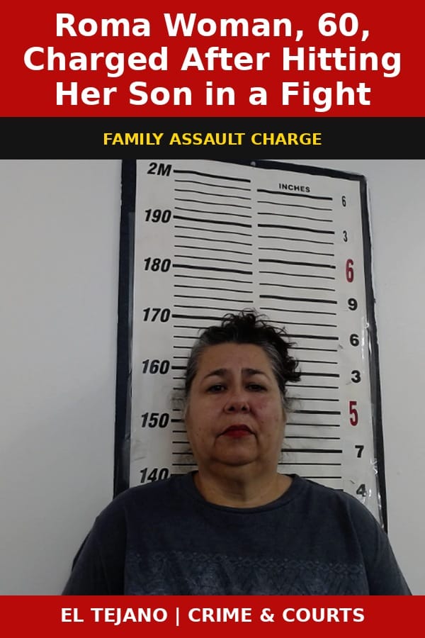 Roma Woman, 60, Charged After Hitting Her Son in a Fight