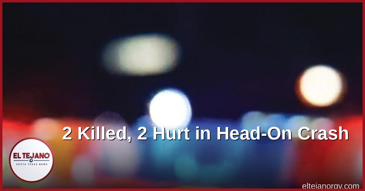 Two Killed, Two Hurt in Head-On Crash Near Palmview, DPS Says