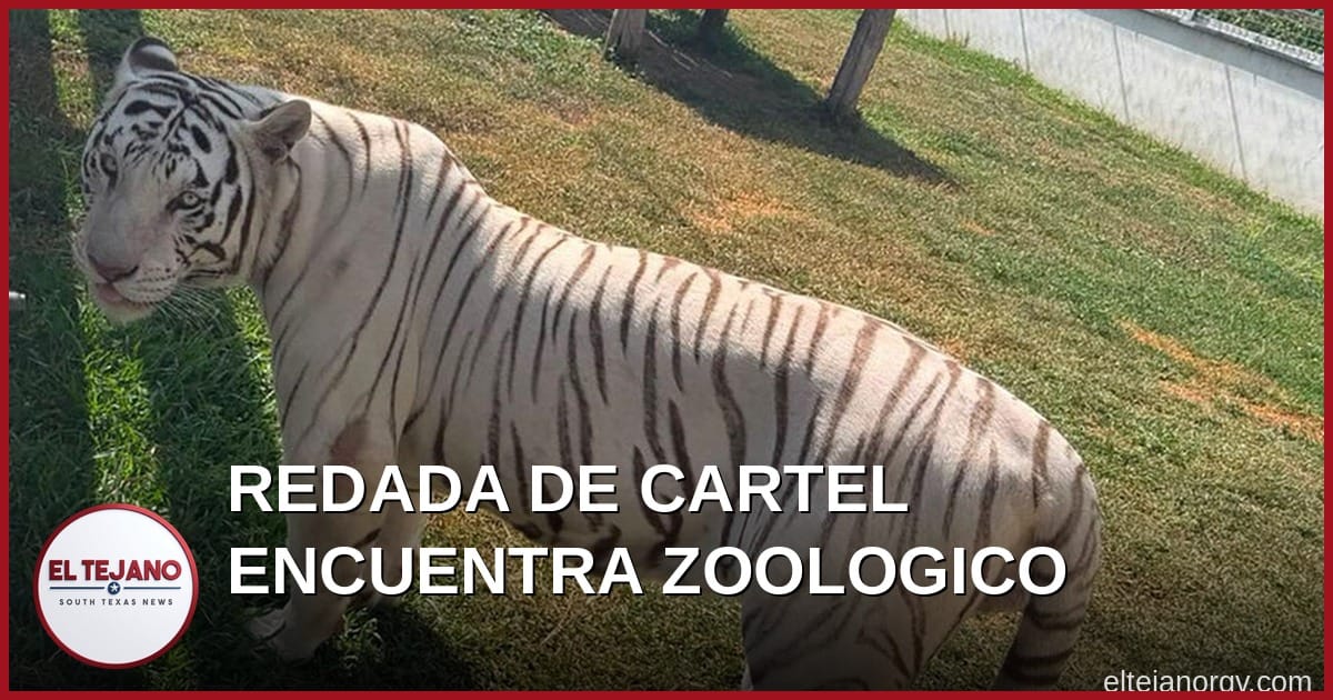 Redada Contra Robo de Combustible del Cártel Encuentra un Zoológico Privado