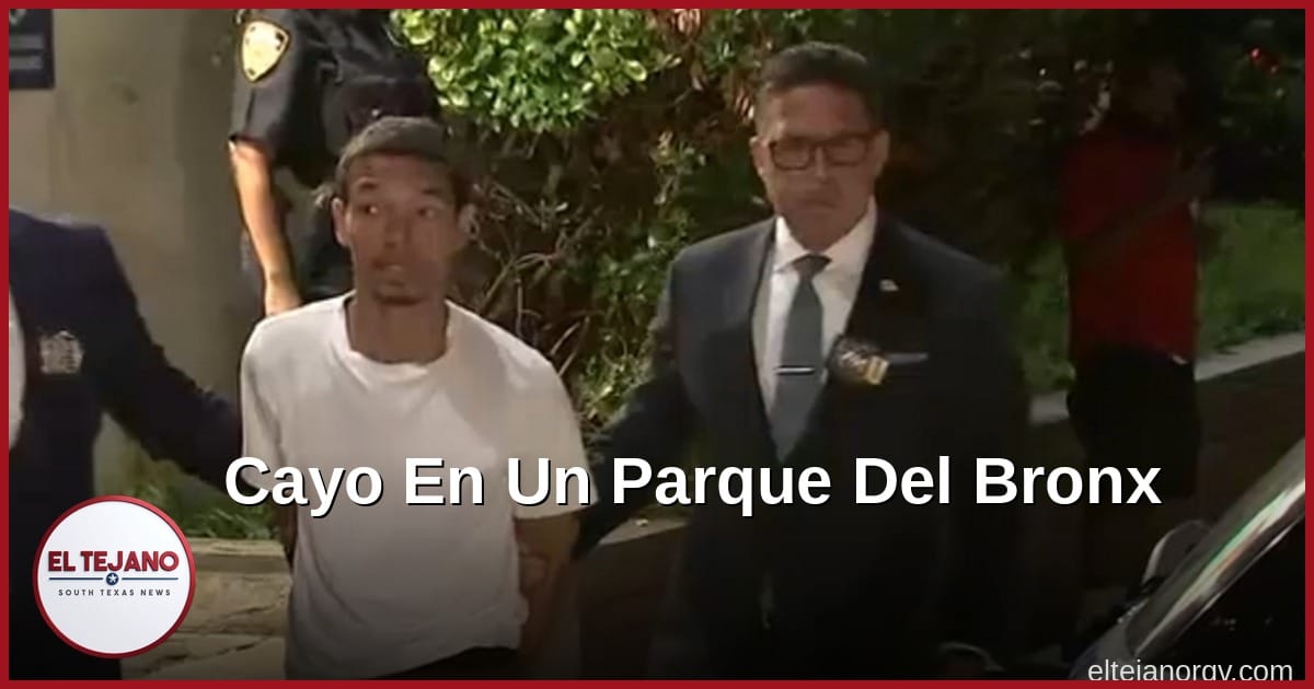 Cayó en un parque del Bronx: lo acusan de matar a dos en dos días