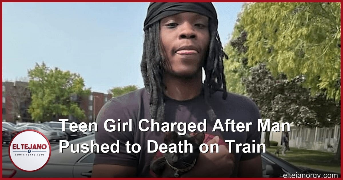 Teen Girl Charged After Man Is Pushed to His Death on Chicago Train