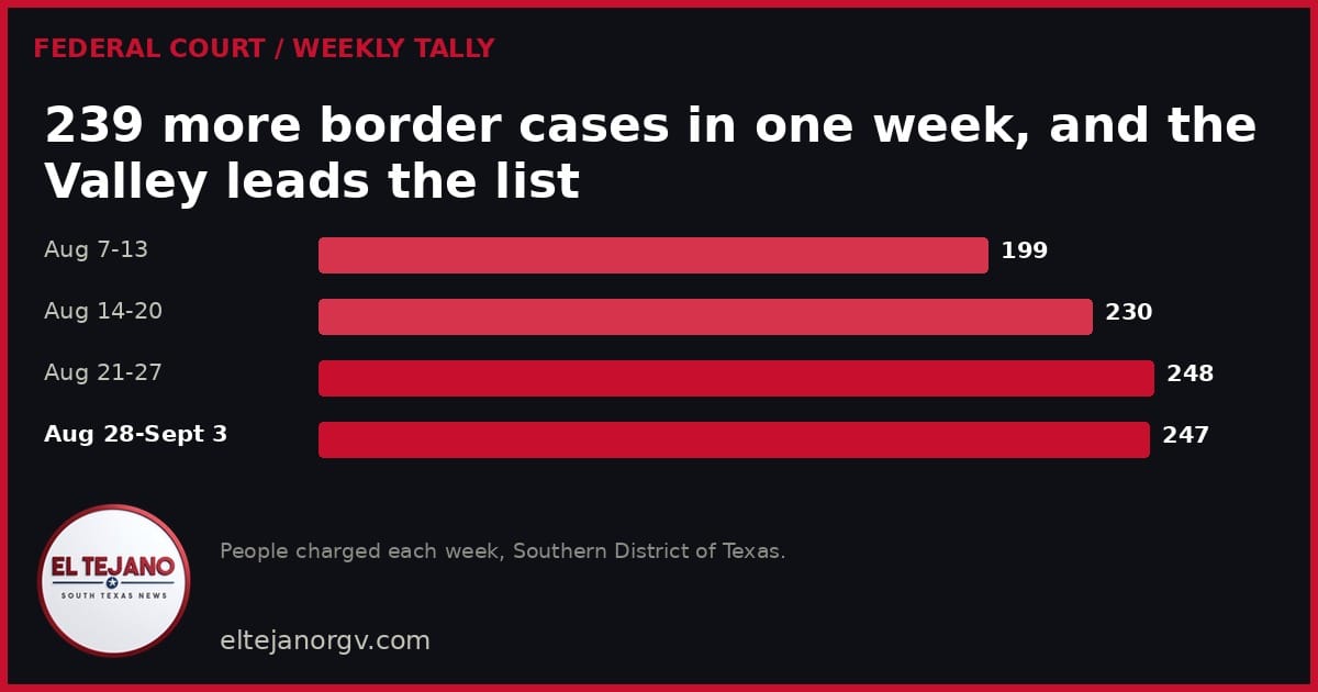 239 more border cases filed in one week, and the Valley leads the list