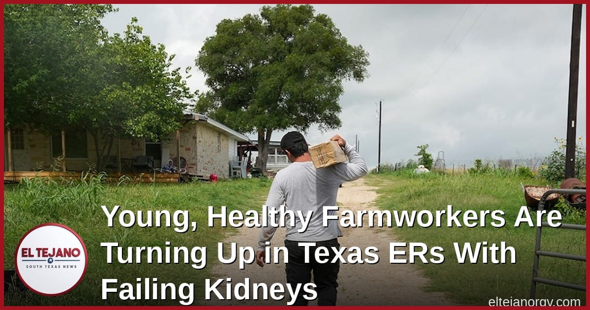 Young, Healthy Farmworkers Are Turning Up in Texas ERs With Failing Kidneys
