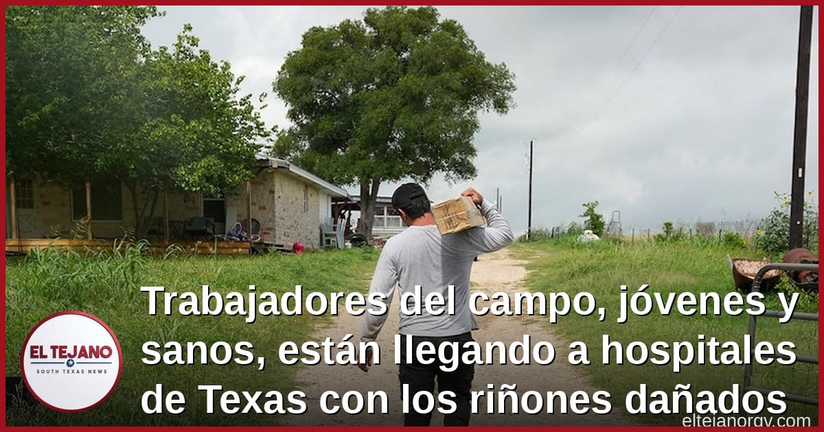 Trabajadores del campo, jóvenes y sanos, están llegando a hospitales de Texas con los riñones dañados