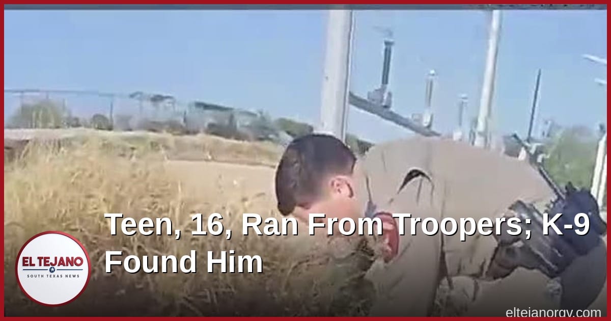 Teen, 16, Ran From Troopers Into Webb County Brush, but a K-9 Found Him