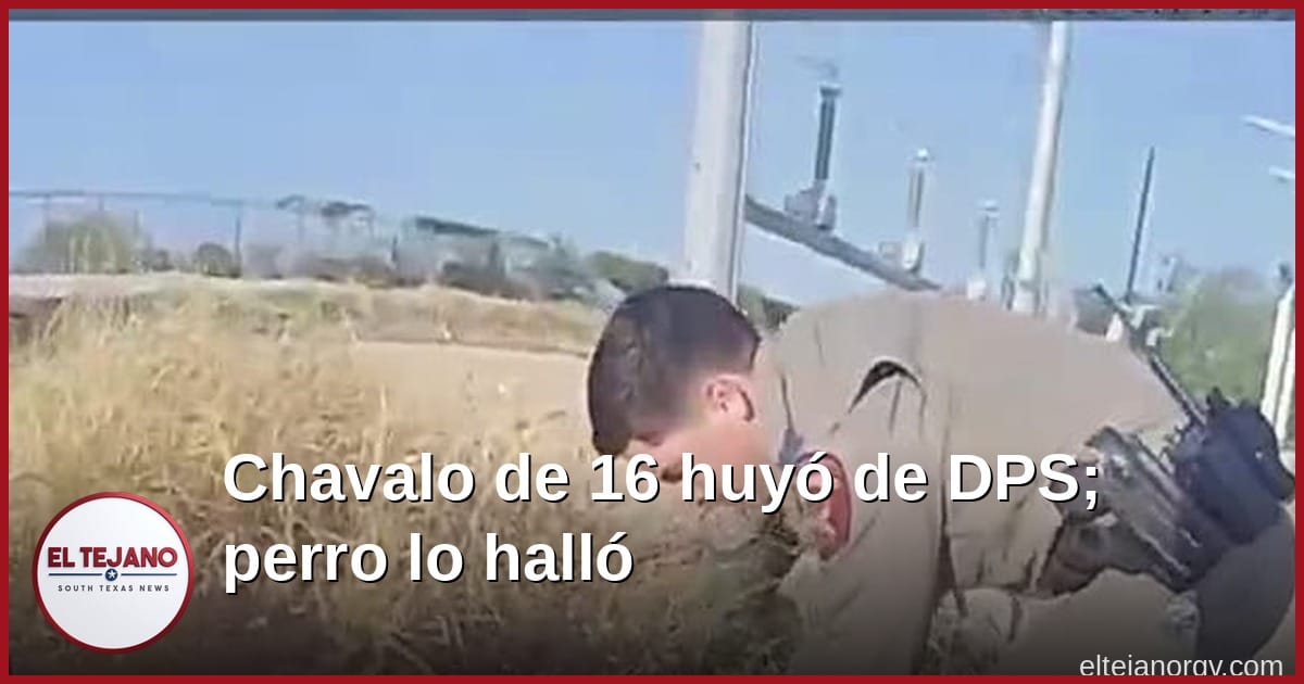 Chavalo de 16 años se les peló a los troopers en Webb, pero un perro de DPS lo halló en el monte