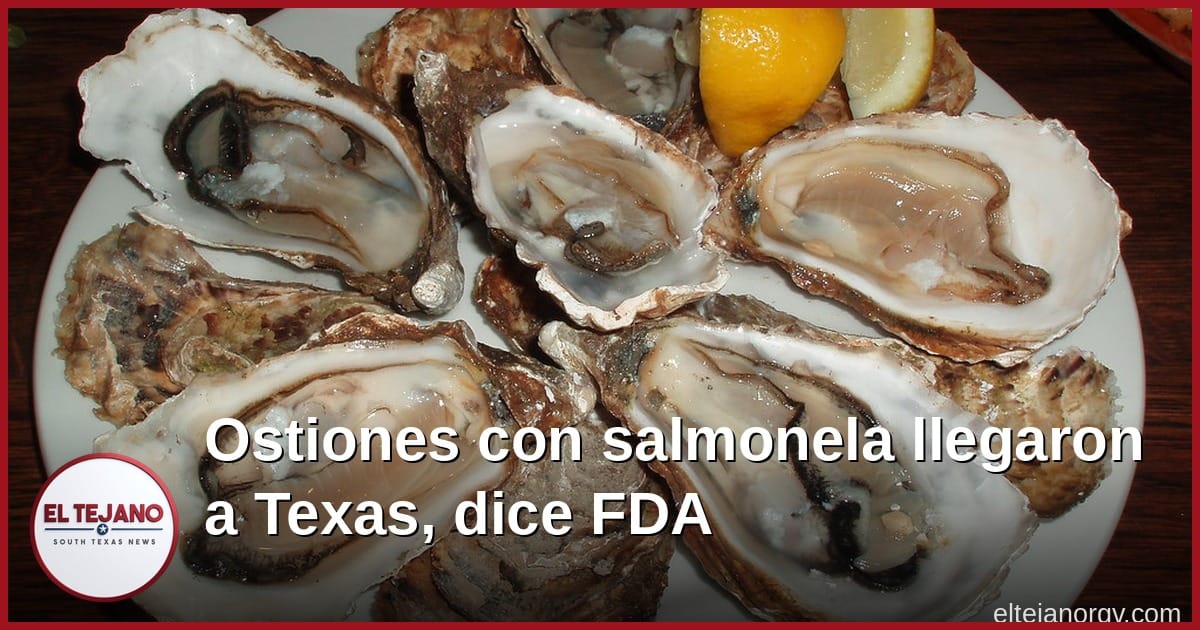 Ostiones con salmonela llegaron a Texas, avisa la FDA
