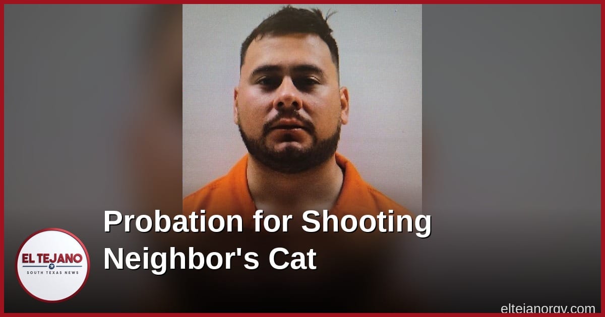 Ex-Primera Public Works Boss Gets Probation for Shooting a Neighbor's Cat
